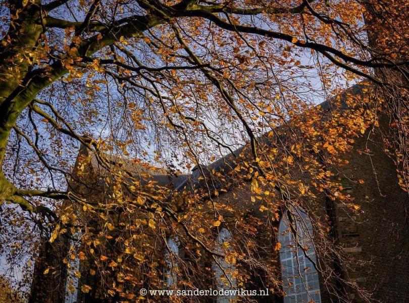 Lambertuskerk herfst